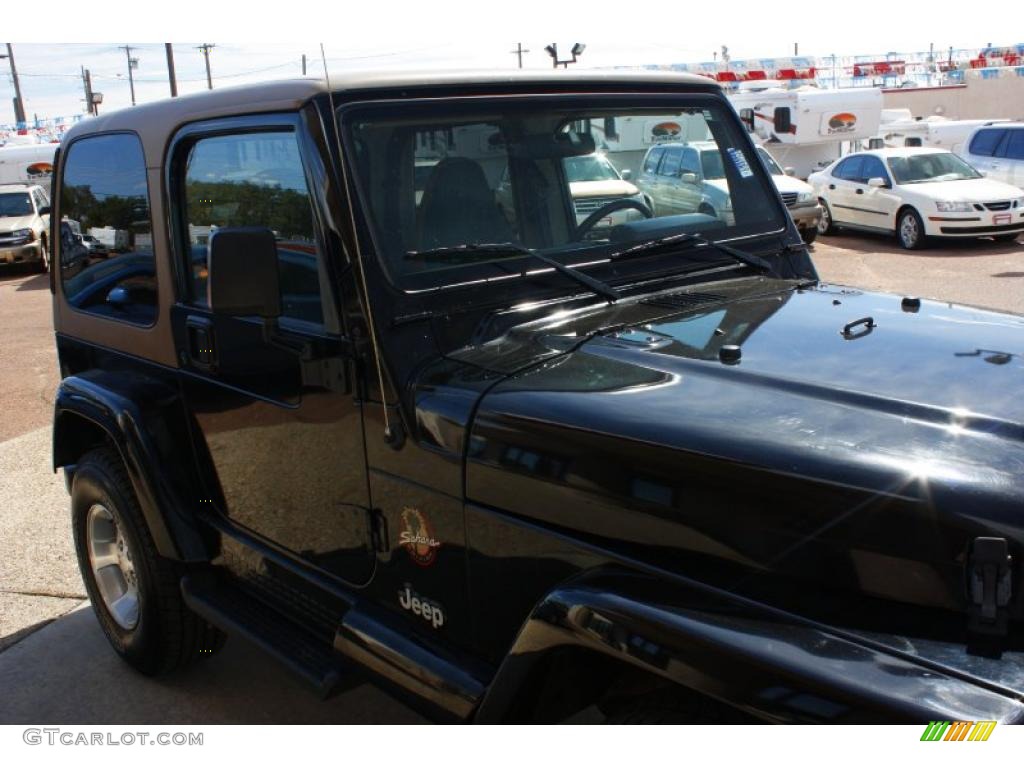 2002 Wrangler Sahara 4x4 - Black / Camel Beige/Dark Green photo #15
