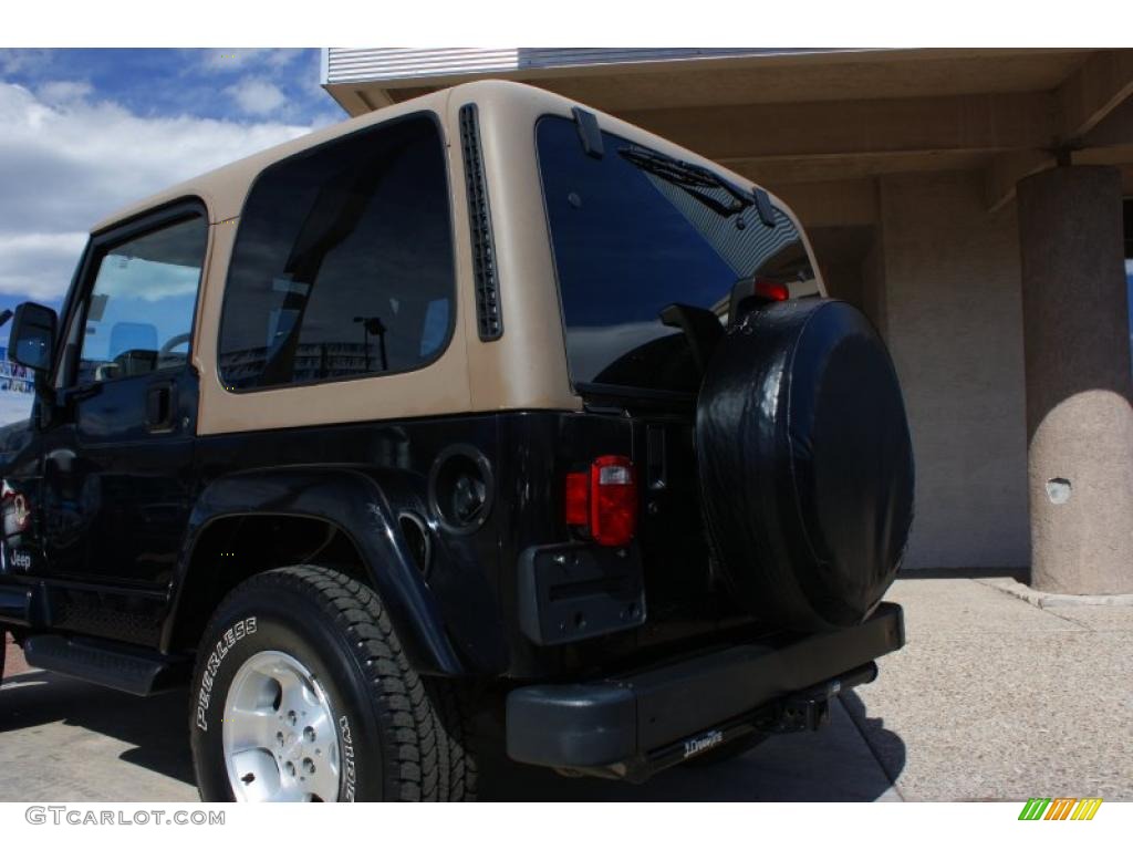 2002 Wrangler Sahara 4x4 - Black / Camel Beige/Dark Green photo #17