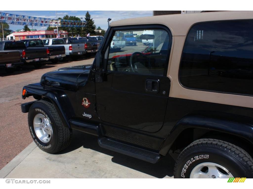 2002 Wrangler Sahara 4x4 - Black / Camel Beige/Dark Green photo #18