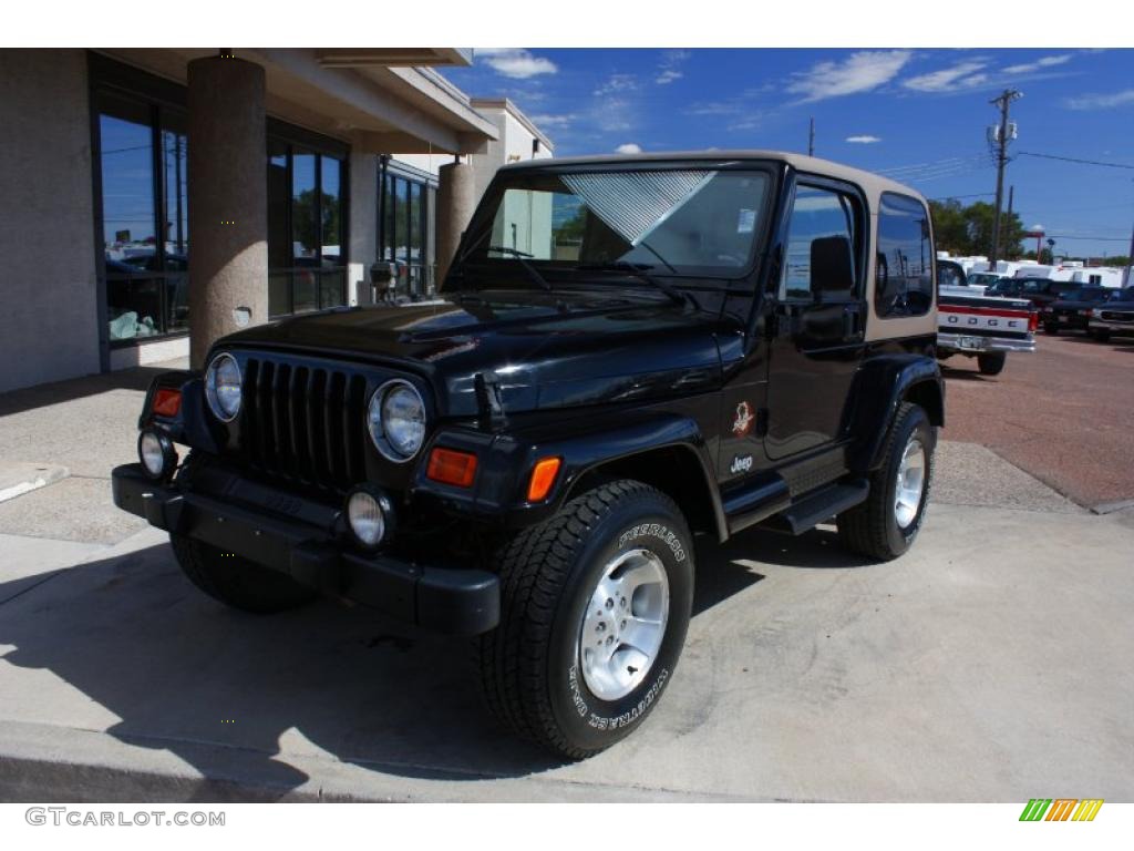 2002 Wrangler Sahara 4x4 - Black / Camel Beige/Dark Green photo #21
