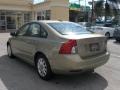 Gecko Green Metallic - S40 2.4i Photo No. 3