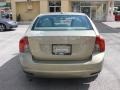Gecko Green Metallic - S40 2.4i Photo No. 4