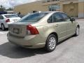 Gecko Green Metallic - S40 2.4i Photo No. 5
