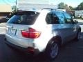 Titanium Silver Metallic - X5 4.8i Photo No. 5