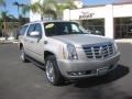 Quicksilver - Escalade ESV AWD Photo No. 1