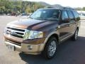 2011 Golden Bronze Metallic Ford Expedition King Ranch 4x4  photo #2