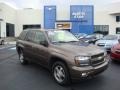 Desert Brown Metallic 2008 Chevrolet TrailBlazer LS 4x4
