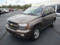 Desert Brown Metallic - TrailBlazer LS 4x4 Photo No. 10