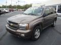 2008 Desert Brown Metallic Chevrolet TrailBlazer LS 4x4  photo #10