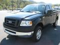 2006 Black Ford F150 XL Regular Cab 4x4  photo #2