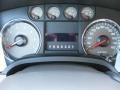 Tan Gauges Photo for 2010 Ford F150 #37892140