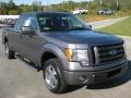 Sterling Grey Metallic 2010 Ford F150 STX SuperCab Exterior