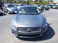 Ocean Gray - Maxima 3.5 SV Photo No. 2