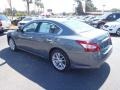 Ocean Gray - Maxima 3.5 SV Photo No. 3