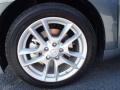 Ocean Gray - Maxima 3.5 SV Photo No. 11