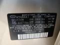 9W: Laguna Sand 2010 Hyundai Elantra GLS Color Code