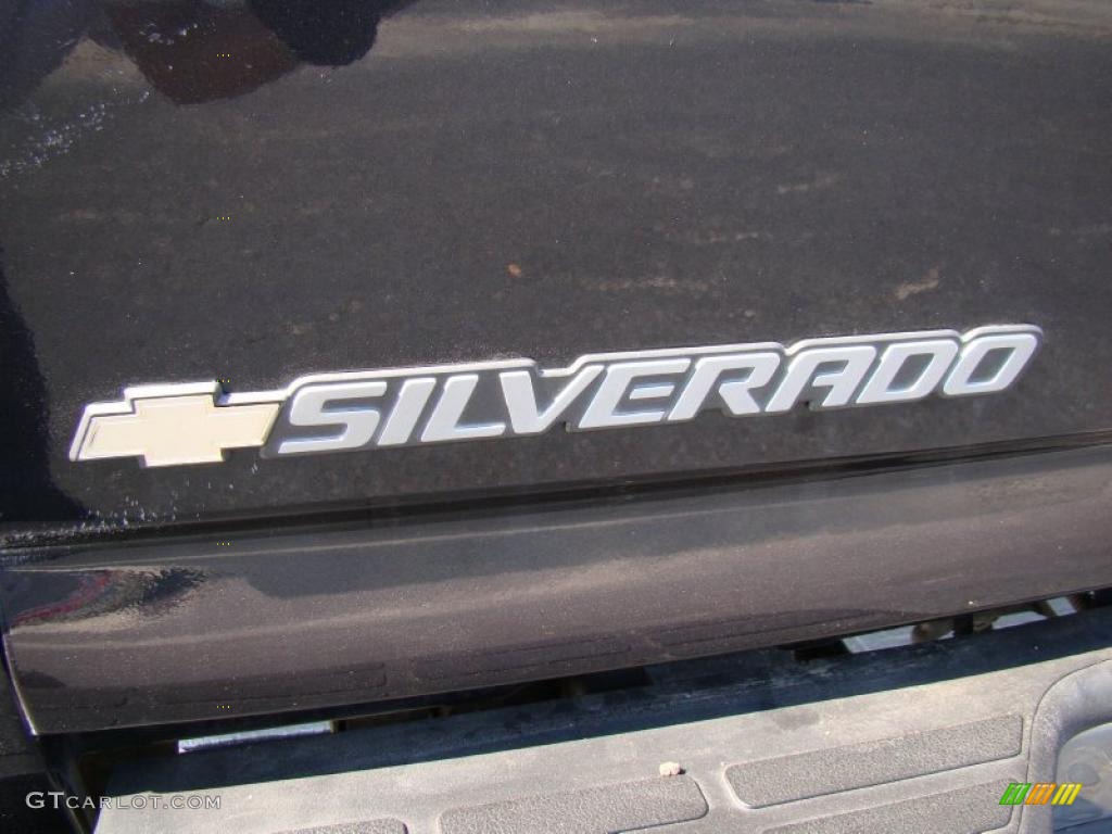 2005 Silverado 1500 LS Regular Cab - Dark Gray Metallic / Dark Charcoal photo #29
