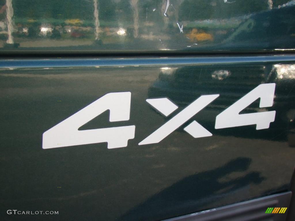 2001 Ram 1500 SLT Club Cab 4x4 - Forest Green Pearl / Mist Gray photo #36