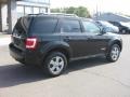 2008 Black Ford Escape Limited  photo #6