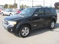 2008 Black Ford Escape Limited  photo #10