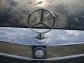 1991 Mercedes-Benz S Class 560 SEL Badge and Logo Photo