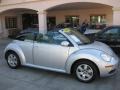 Reflex Silver - New Beetle 2.5 Convertible Photo No. 23