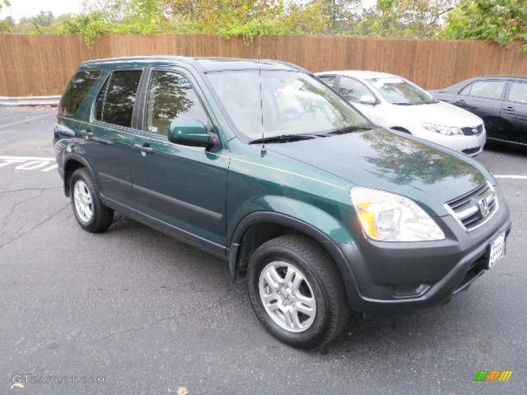 2003 CR-V EX 4WD - Clover Green Pearl / Saddle photo #6