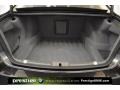 Black Nappa Leather Trunk Photo for 2010 BMW 7 Series #37922322