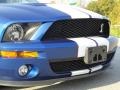 2008 Vista Blue Metallic Ford Mustang Shelby GT500 Coupe  photo #17