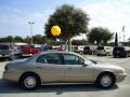 Light Bronzemist Metallic - LeSabre Custom Photo No. 13