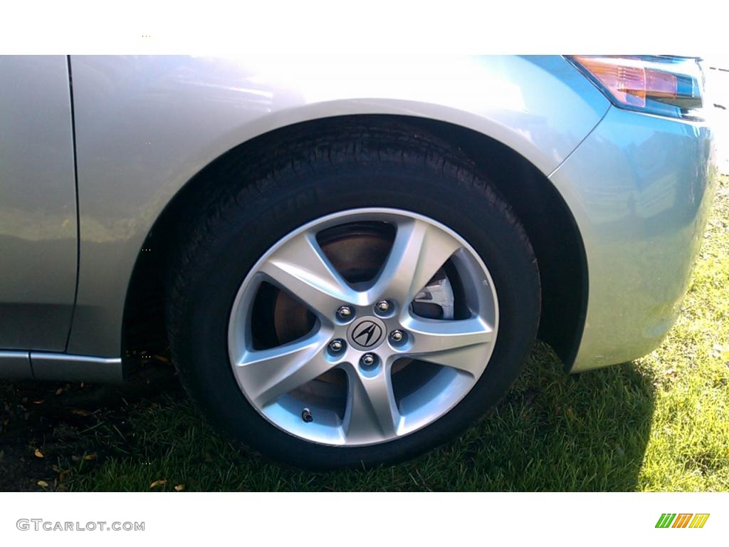 2010 TSX Sedan - Palladium Metallic / Ebony photo #11