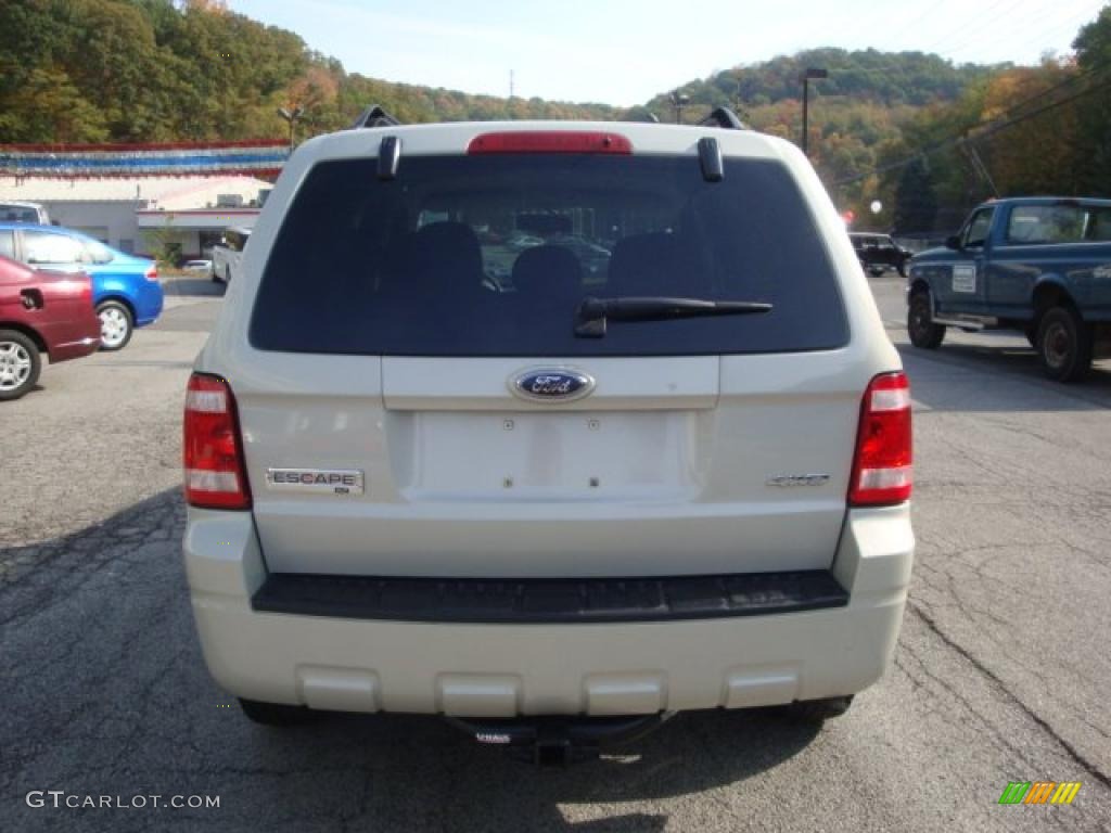 2009 Escape XLT V6 4WD - Light Sage Metallic / Stone photo #3