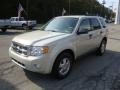 2009 Light Sage Metallic Ford Escape XLT V6 4WD  photo #5