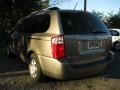 2010 Titanium Silver Kia Sedona LX  photo #15