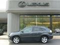 Flint Mica - RX 350 AWD Photo No. 2