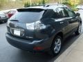 Flint Mica - RX 350 AWD Photo No. 5