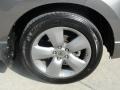 Carbon Gray Pearl - RDX Technology Photo No. 17