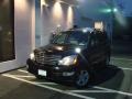 Black Onyx - GX 470 Photo No. 1