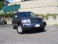 Bluestone Metallic - Highlander 4WD Photo No. 1