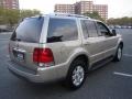 Light French Silk Metallic 2004 Lincoln Aviator Luxury AWD Exterior