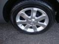 2008 Nissan Sentra 2.0 SL Wheel and Tire Photo