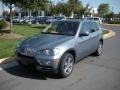 Mineral Green Metallic - X5 4.8i Photo No. 2
