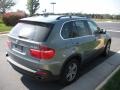 Mineral Green Metallic - X5 4.8i Photo No. 6