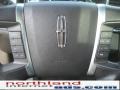 Charcoal Black Controls Photo for 2009 Lincoln MKS #37953540