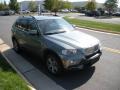 Mineral Green Metallic - X5 4.8i Photo No. 8