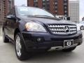 Capri Blue Metallic 2008 Mercedes-Benz ML 350 4Matic Exterior