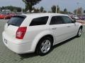 2006 Stone White Dodge Magnum SXT  photo #5