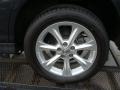 Smokey Granite - RX 350 AWD Photo No. 14