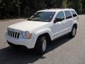 2010 Stone White Jeep Grand Cherokee Laredo  photo #1