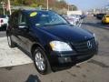 Black - ML 350 4Matic Photo No. 21